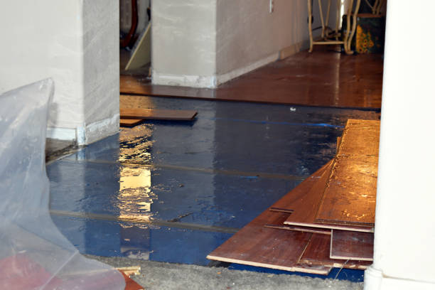 Professional Water Damage Restoration technician working in Fletcher, NC